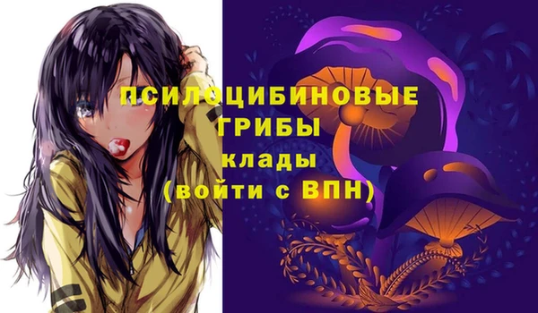 ГАЛЛЮЦИНОГЕННЫЕ ГРИБЫ Беломорск