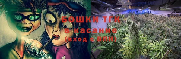 ГАЛЛЮЦИНОГЕННЫЕ ГРИБЫ Беломорск